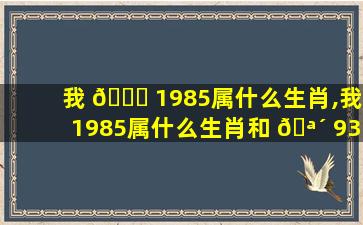 我 💐 1985属什么生肖,我1985属什么生肖和 🪴 93相差几岁